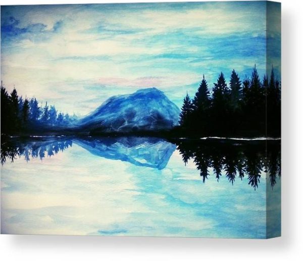 Nocturnal Sky - Canvas Print Discount