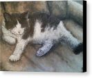 Kitty Kat - Canvas Print Discount