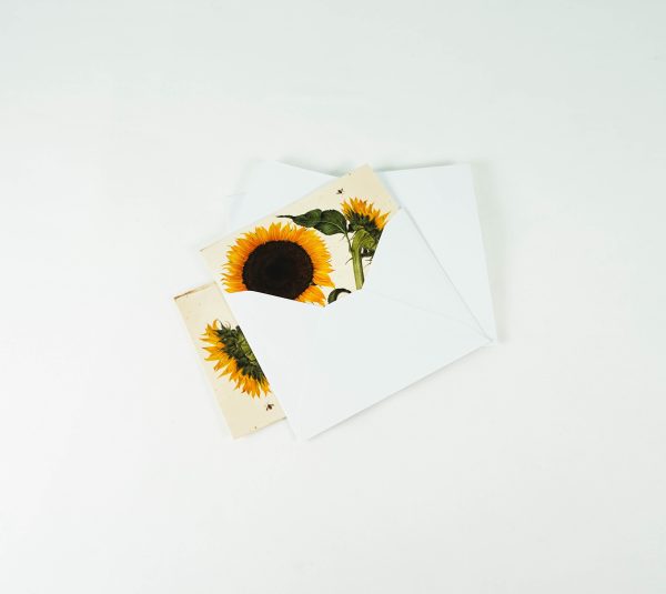 Botanicals Quicknotes: Blank Boxed Notecards Hot on Sale