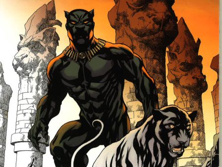 Color Your Own Black Panther Hot on Sale