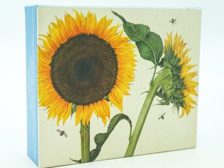 Botanicals Quicknotes: Blank Boxed Notecards Hot on Sale