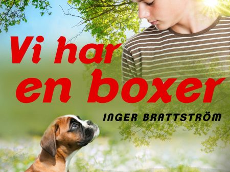 Vi har en boxer For Sale